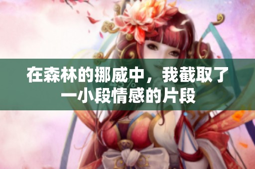 在森林的挪威中，我截取了一小段情感的片段