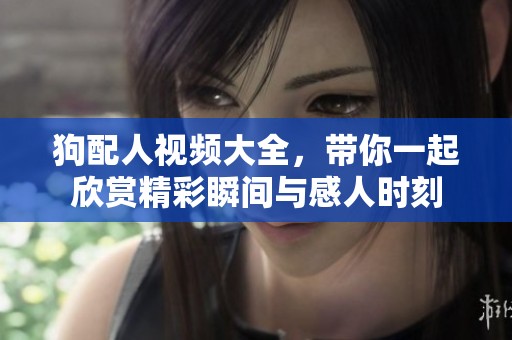 狗配人视频大全，带你一起欣赏精彩瞬间与感人时刻