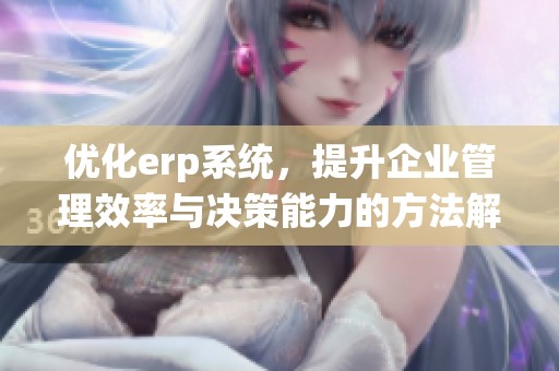优化erp系统，提升企业管理效率与决策能力的方法解析