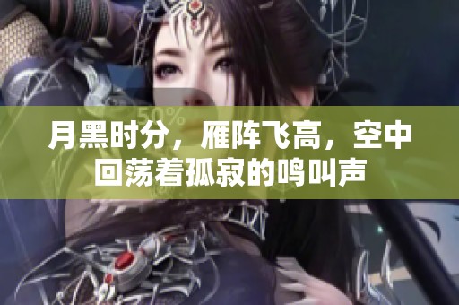 月黑时分，雁阵飞高，空中回荡着孤寂的鸣叫声