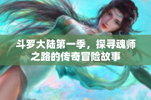 斗罗大陆第一季，探寻魂师之路的传奇冒险故事