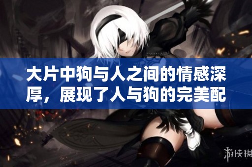 大片中狗与人之间的情感深厚，展现了人与狗的完美配合