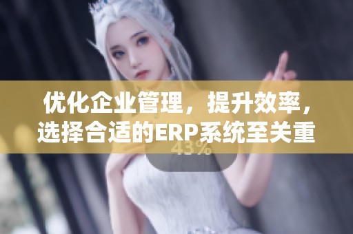 优化企业管理，提升效率，选择合适的ERP系统至关重要