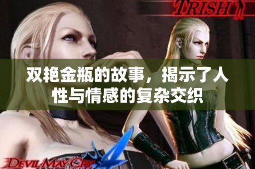 双艳金瓶的故事，揭示了人性与情感的复杂交织