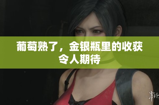 葡萄熟了，金银瓶里的收获令人期待