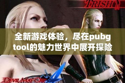 全新游戏体验，尽在pubgtool的魅力世界中展开探险！