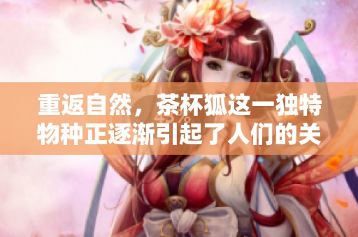 重返自然，茶杯狐这一独特物种正逐渐引起了人们的关注