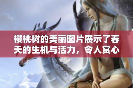 樱桃树的美丽图片展示了春天的生机与活力，令人赏心悦目至极