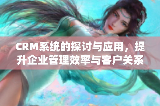 CRM系统的探讨与应用，提升企业管理效率与客户关系维护的方法