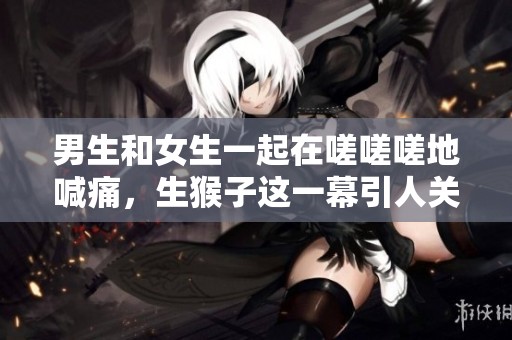 男生和女生一起在嗟嗟嗟地喊痛，生猴子这一幕引人关注