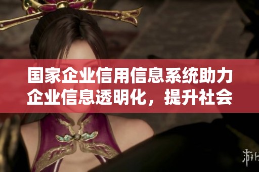 国家企业信用信息系统助力企业信息透明化，提升社会信用环境的重要性