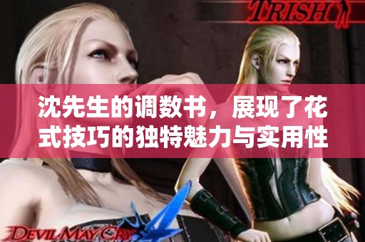 沈先生的调数书，展现了花式技巧的独特魅力与实用性