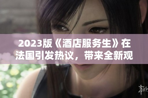 2023版《酒店服务生》在法国引发热议，带来全新观看体验与反思