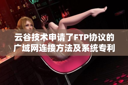 云谷技术申请了FTP协议的广域网连接方法及系统专利，揭示了其创新方案