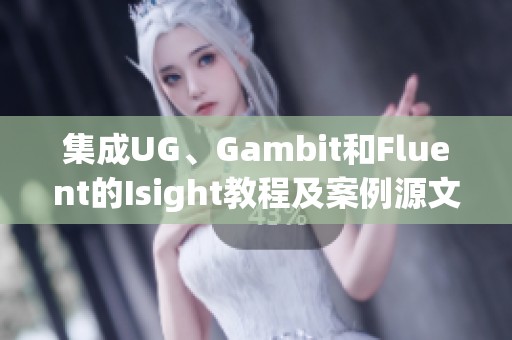 集成UG、Gambit和Fluent的Isight教程及案例源文件介绍，尽在CSDN