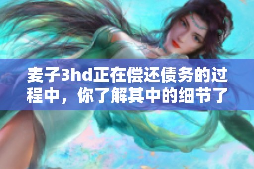 麦子3hd正在偿还债务的过程中，你了解其中的细节了吗