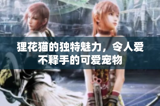狸花猫的独特魅力，令人爱不释手的可爱宠物