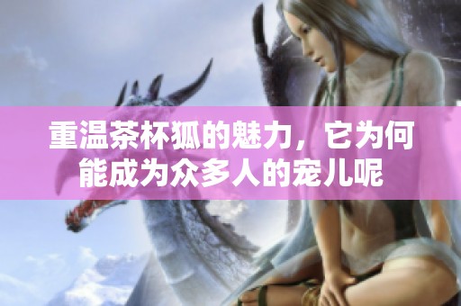 重温茶杯狐的魅力，它为何能成为众多人的宠儿呢