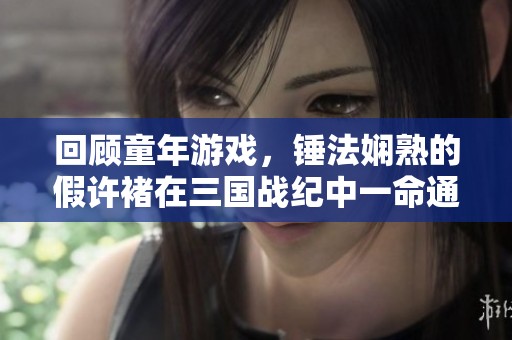 回顾童年游戏，锤法娴熟的假许褚在三国战纪中一命通关