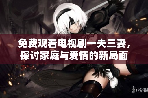 免费观看电视剧一夫三妻，探讨家庭与爱情的新局面