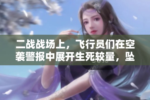 二战战场上，飞行员们在空袭警报中展开生死较量，坠落的命运将无法重写