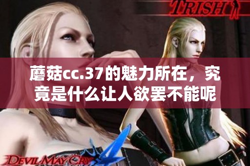 蘑菇cc.37的魅力所在，究竟是什么让人欲罢不能呢