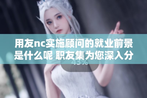 用友nc实施顾问的就业前景是什么呢 职友集为您深入分析