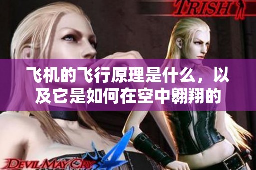 飞机的飞行原理是什么，以及它是如何在空中翱翔的