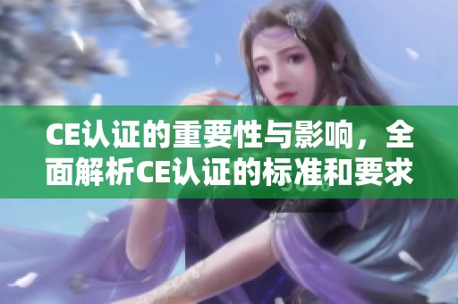 CE认证的重要性与影响，全面解析CE认证的标准和要求