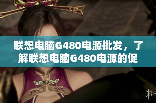 联想电脑G480电源批发，了解联想电脑G480电源的促销价格与产地信息