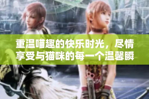 重温喵趣的快乐时光，尽情享受与猫咪的每一个温馨瞬间