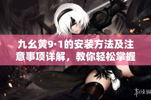 九幺黄9·1的安装方法及注意事项详解，教你轻松掌握技巧与步骤