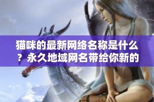 猫咪的最新网络名称是什么？永久地域网名带给你新的惊喜！