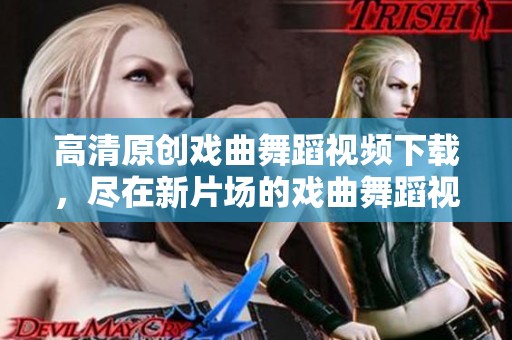 高清原创戏曲舞蹈视频下载，尽在新片场的戏曲舞蹈视频中