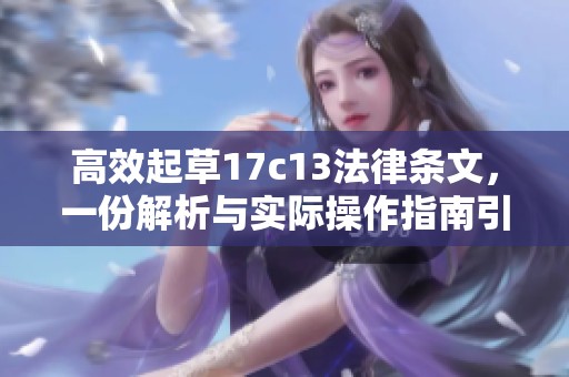 高效起草17c13法律条文，一份解析与实际操作指南引发的思考