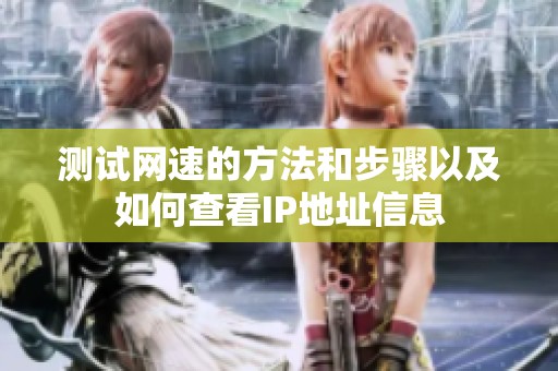 测试网速的方法和步骤以及如何查看IP地址信息