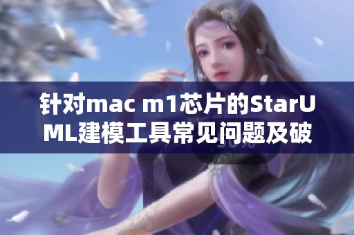 针对mac m1芯片的StarUML建模工具常见问题及破解总结分享