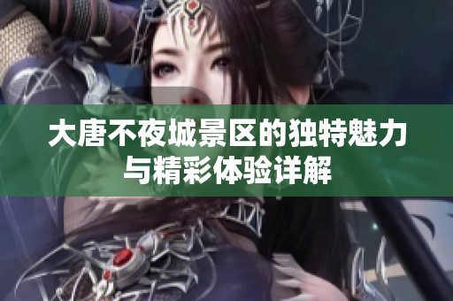 大唐不夜城景区的独特魅力与精彩体验详解