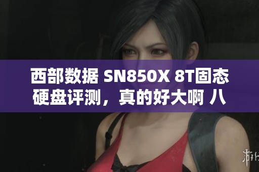 西部数据 SN850X 8T固态硬盘评测，真的好大啊 八测重磅来袭！