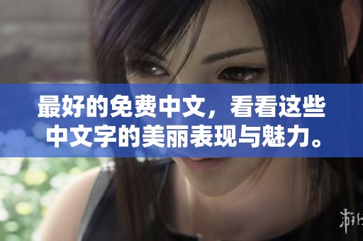 最好的免费中文，看看这些中文字的美丽表现与魅力。