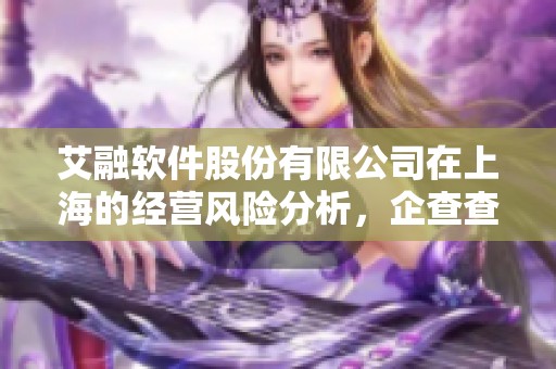 艾融软件股份有限公司在上海的经营风险分析，企查查提供详细信息