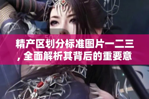 精产区划分标准图片一二三, 全面解析其背后的重要意义与应用