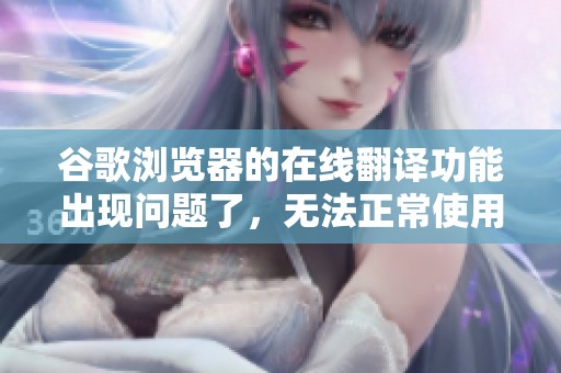 谷歌浏览器的在线翻译功能出现问题了，无法正常使用怎么办呢