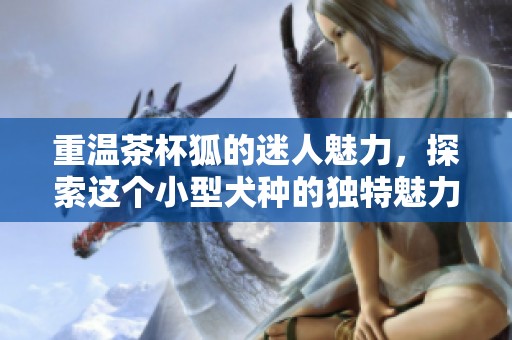 重温茶杯狐的迷人魅力，探索这个小型犬种的独特魅力所在