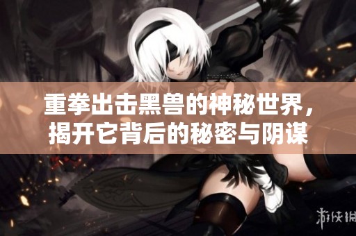 重拳出击黑兽的神秘世界，揭开它背后的秘密与阴谋