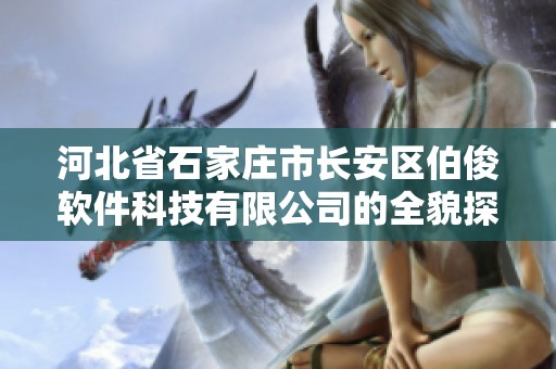 河北省石家庄市长安区伯俊软件科技有限公司的全貌探索与发展之路