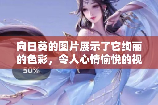 向日葵的图片展示了它绚丽的色彩，令人心情愉悦的视觉享受