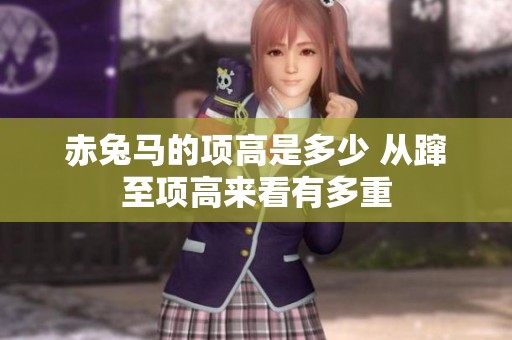 赤兔马的项高是多少 从蹿至项高来看有多重