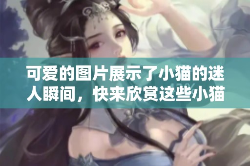 可爱的图片展示了小猫的迷人瞬间，快来欣赏这些小猫的精彩图片吧！