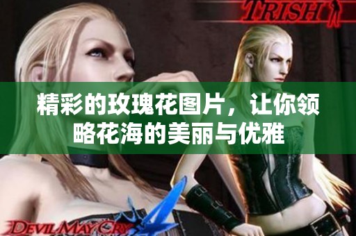 精彩的玫瑰花图片，让你领略花海的美丽与优雅